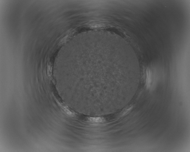 X0000077290281200610271532