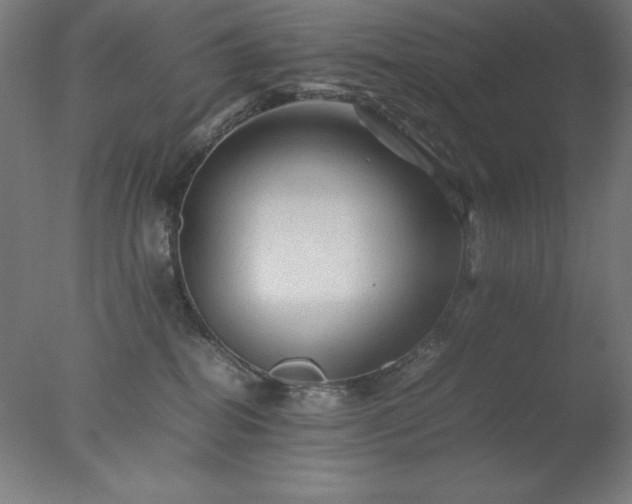 X0000077290282200610271532