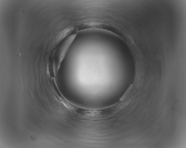 X0000077290288200610271532