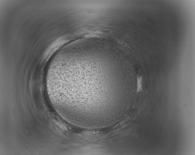 X0000077290291200610271531