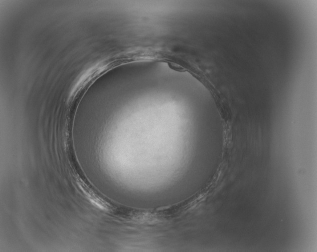X0000077290293200610271531
