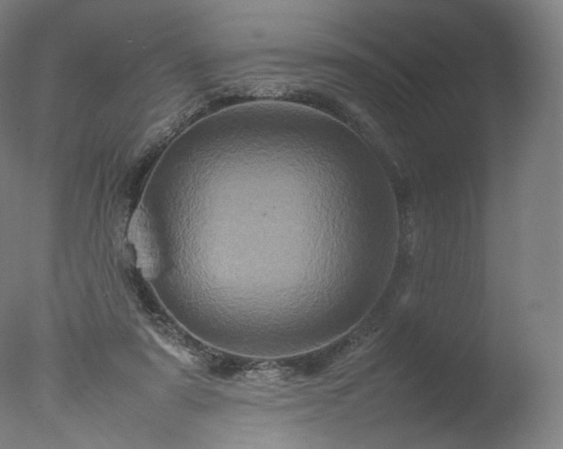 X0000077290307200610271531