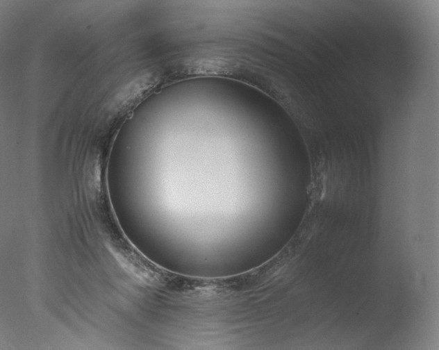 X0000077290310200610271531