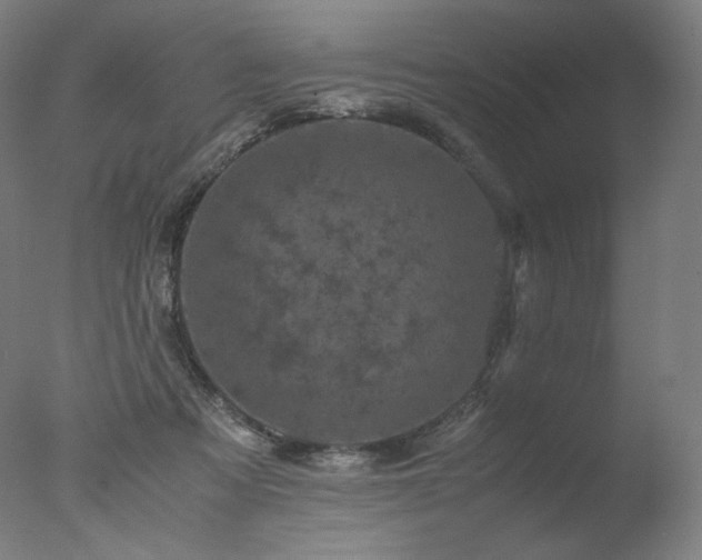 X0000077290313200610271531