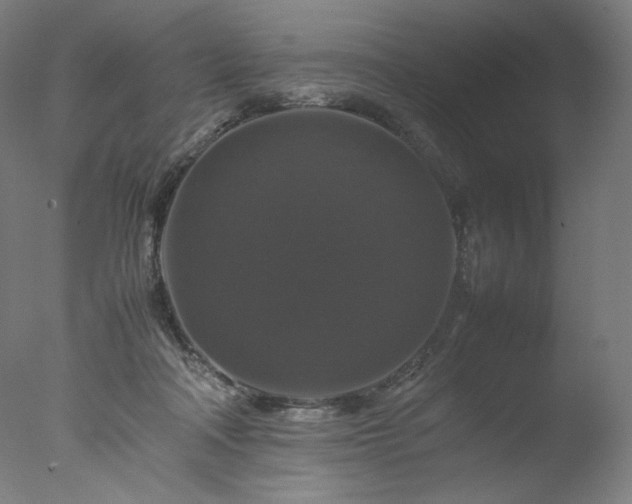 X0000077290314200610271531