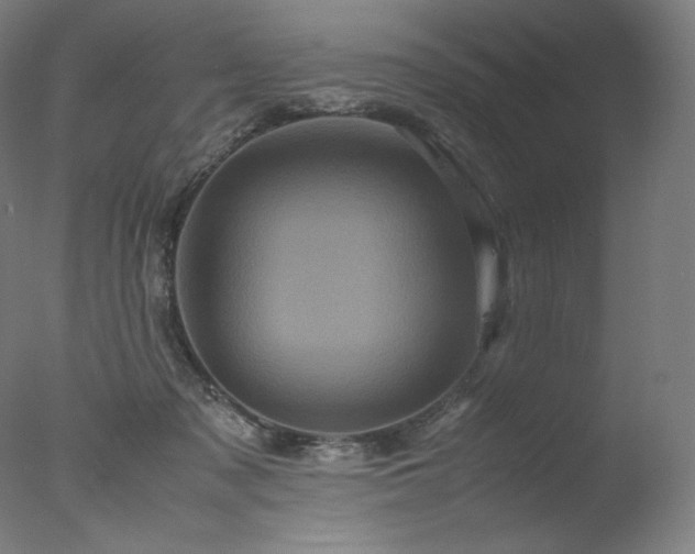 X0000077290317200610271531
