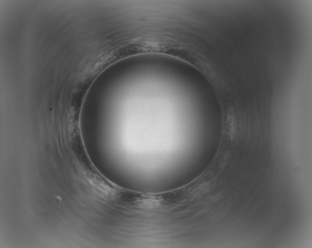X0000077290318200610271531
