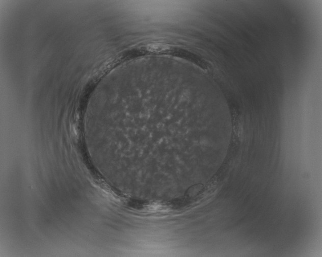 X0000077290319200610271531