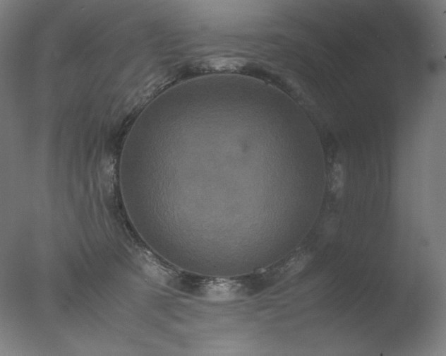 X0000077290321200610271531