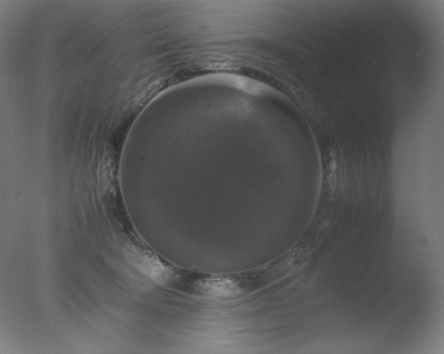 X0000077290322200610271531