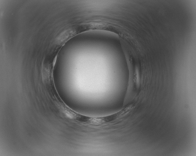 X0000077290333200610271531