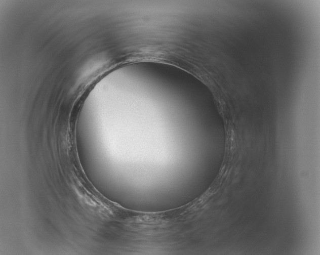 X0000077290338200610271530