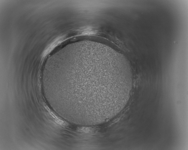 X0000077290341200610271530