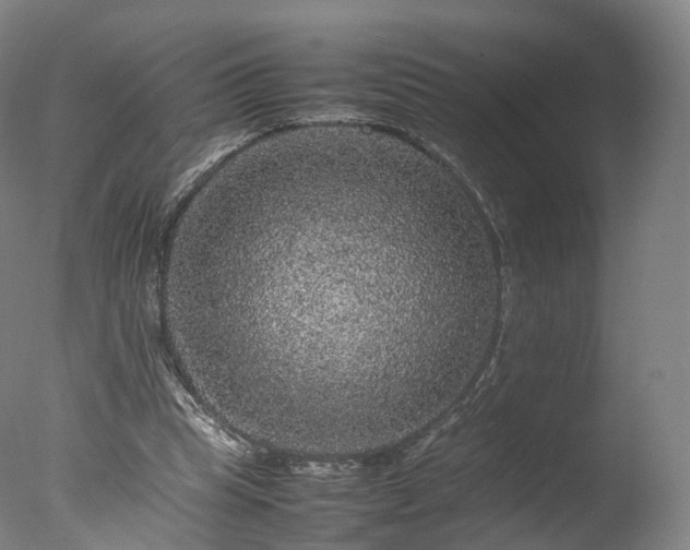 X0000077290345200610271530