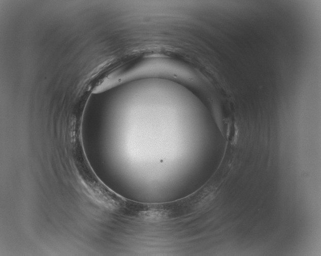 X0000077290356200610271530