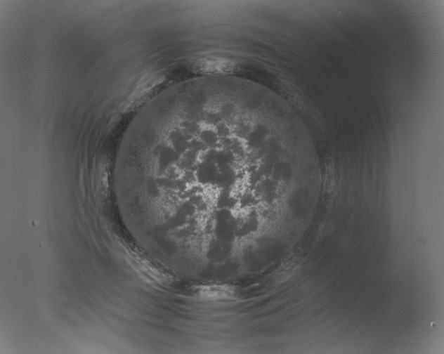 X0000077290363200610271530