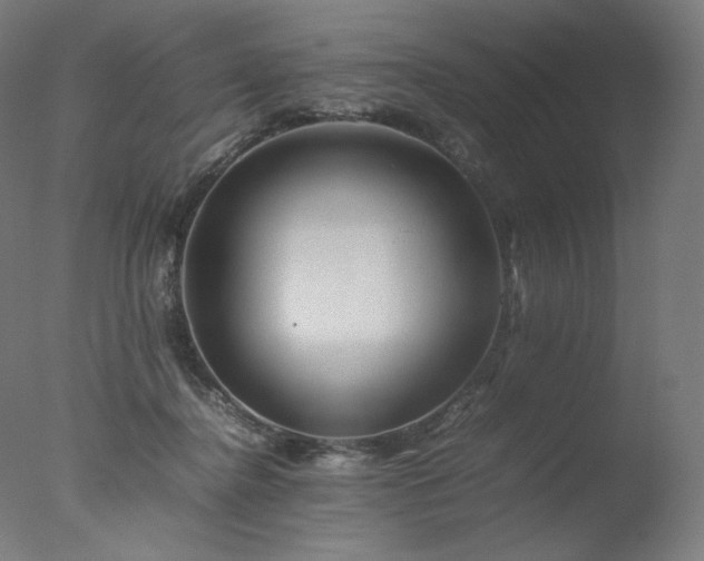 X0000077290364200610271530