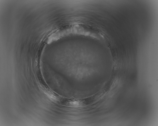 X0000077290365200610271530