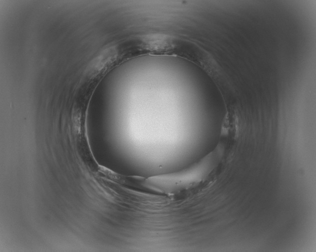 X0000077290368200610271530