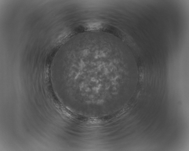 X0000077290369200610271530