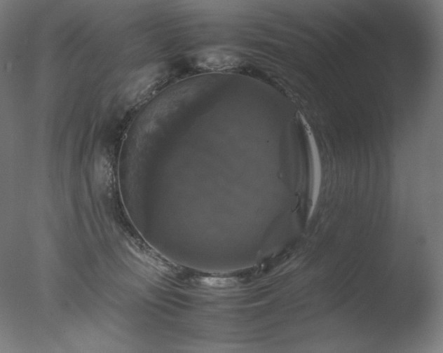 X0000077290371200610271530