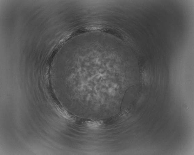 X0000077290373200610271530