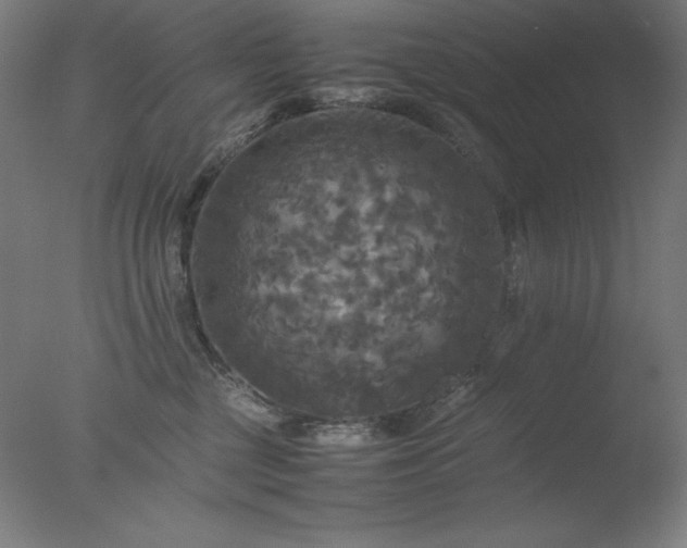 X0000077290377200610271531