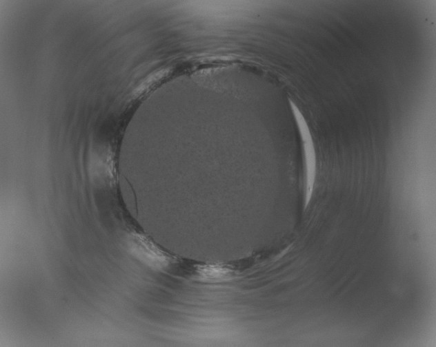 X0000077290380200610271531