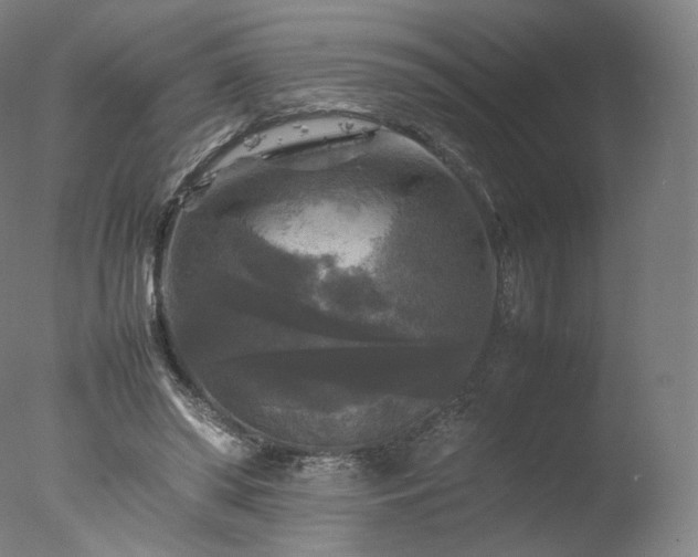 X0000077290398200610271530