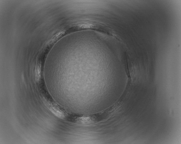 X0000077290406200610271529