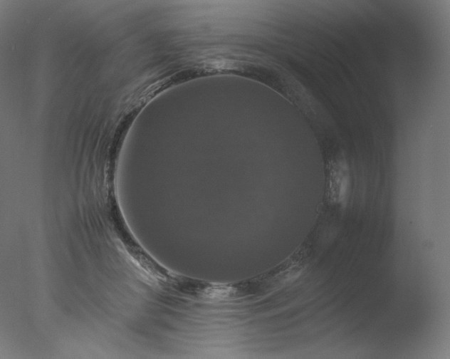 X0000077290410200610271529