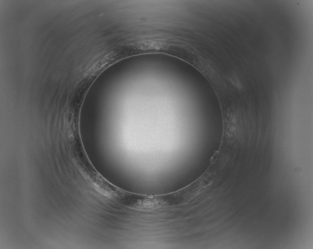 X0000077290414200610271529