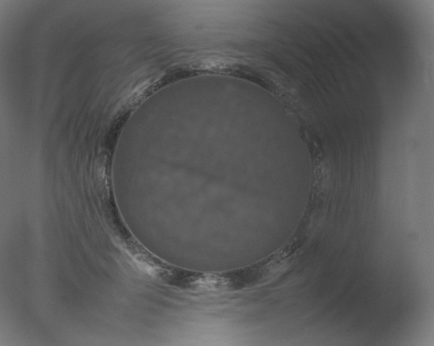 X0000077290415200610271529
