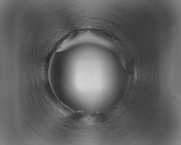 X0000077290416200610271529