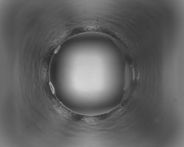 X0000077290417200610271529