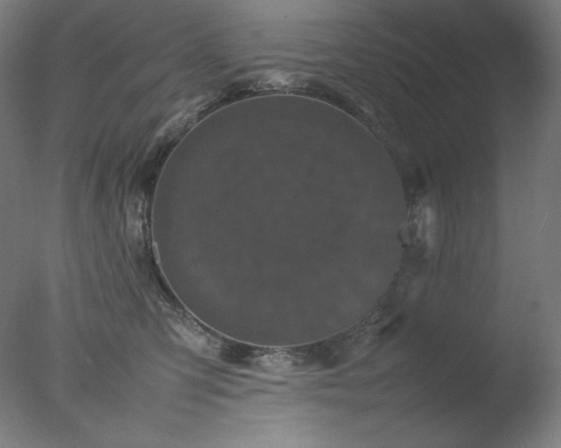 X0000077290423200610271529