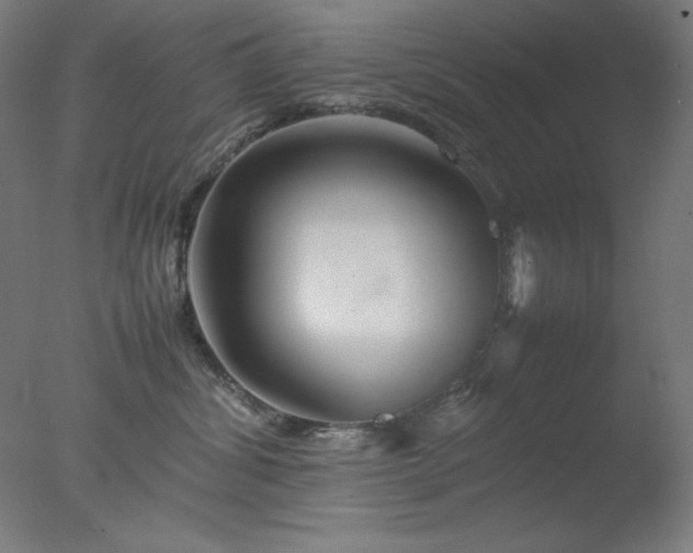 X0000077290428200610271529