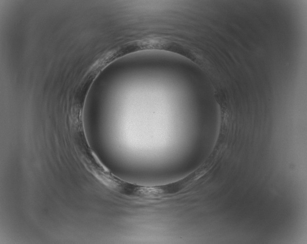 X0000077290429200610271529