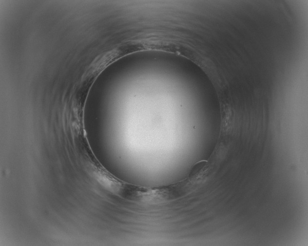 X0000077290430200610271529