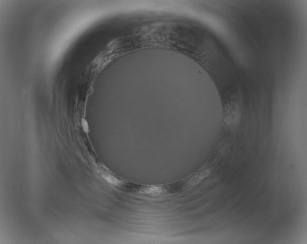 X0000077290431200610271529