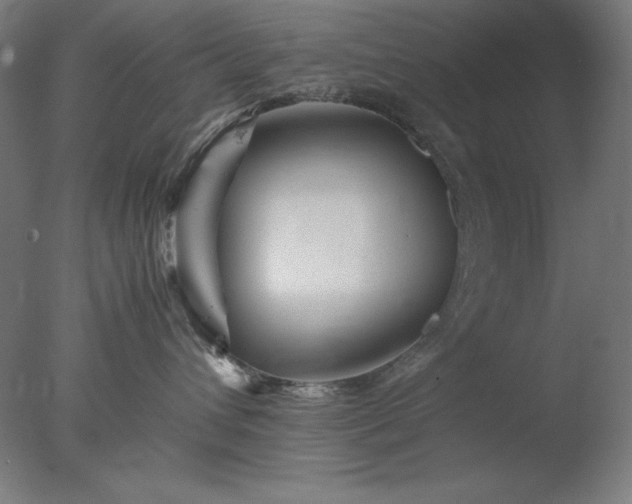 X0000077290432200610271529