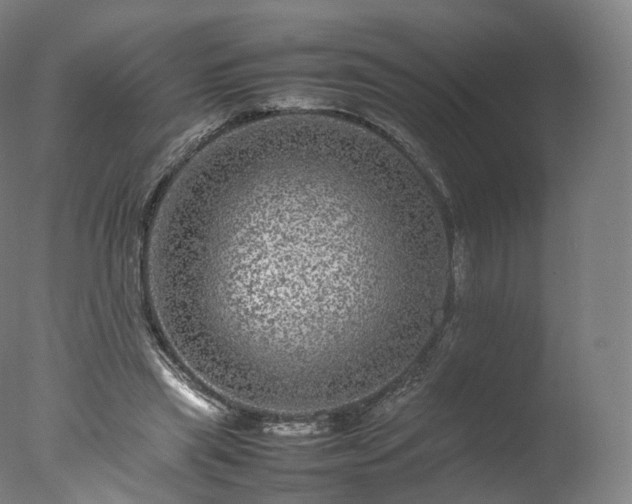 X0000077290445200610271528
