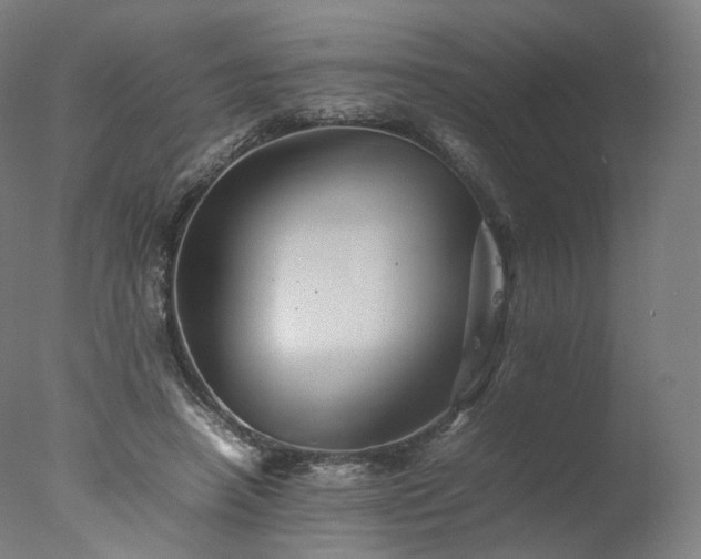 X0000077290450200610271528