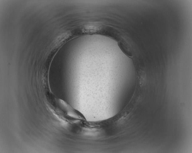 X0000077290455200610271529