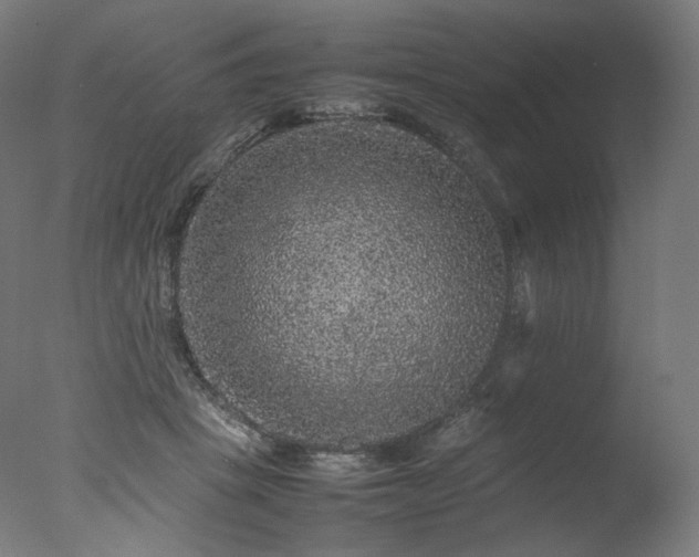 X0000077290457200610271529