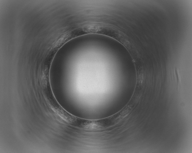 X0000077290460200610271529