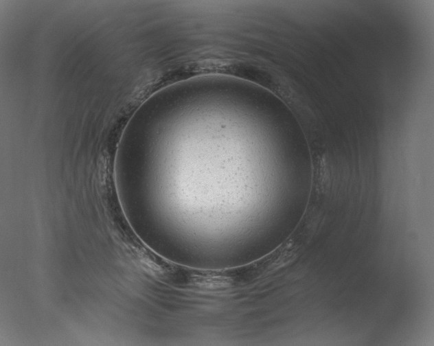 X0000077290463200610271529
