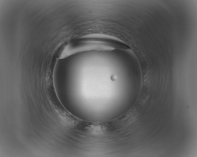 X0000077290464200610271529