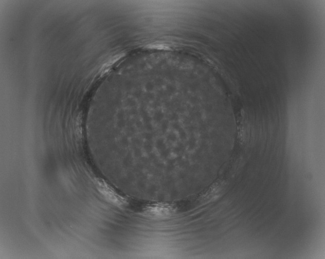 X0000077290466200610271529