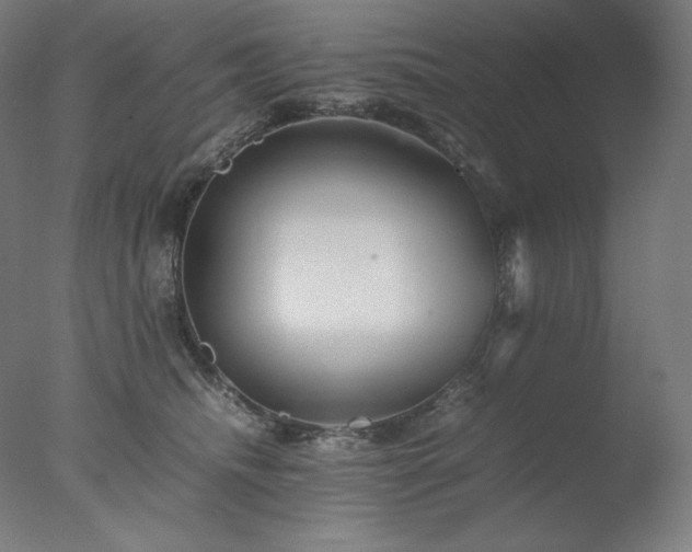 X0000077290468200610271529